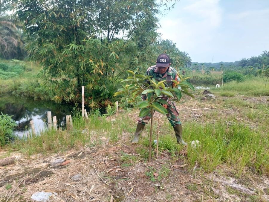 Babinsa Koramil 03/Mandau Rawat Tanaman di Lokasi Pertanian Ecopark Simpang Bangko