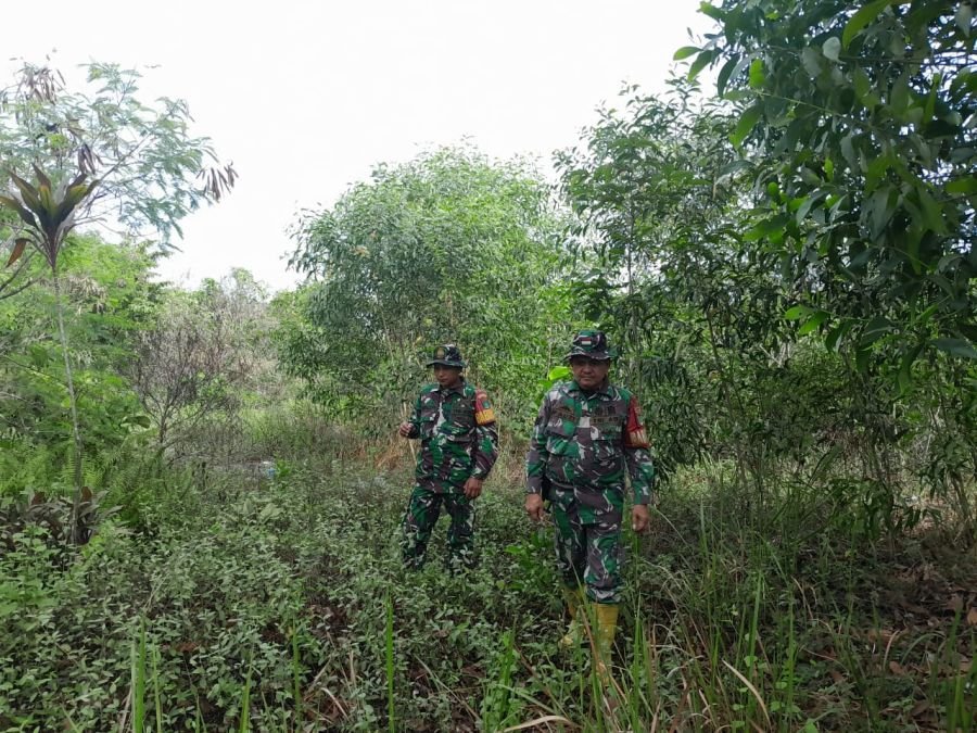 Babinsa Koramil 03/Mandau Rutin Patroli Cegah Karhutla di Wilayah Bengkalis