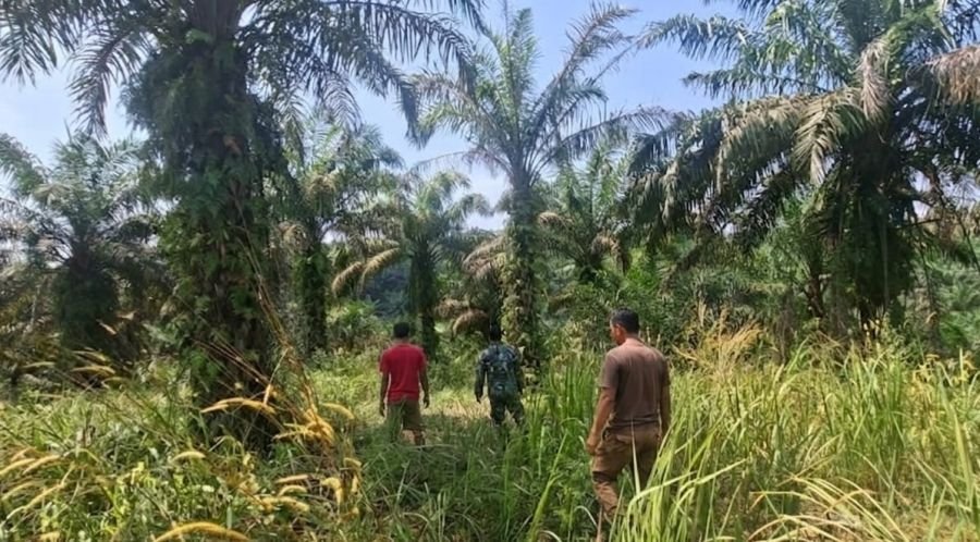 Babinsa Koramil 03/Minas Intensifkan Patroli Karhutla di Sungai Mandau