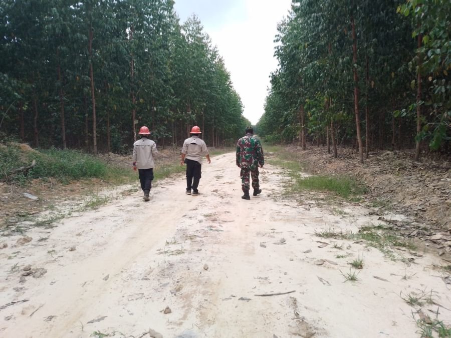 Babinsa Koramil 03/Minas Intensifkan Patroli Pencegahan Karhutla di Sungai Mandau