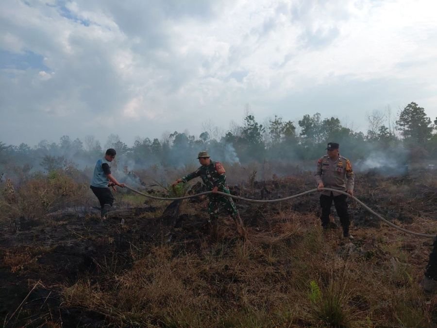Babinsa Koramil 03/Senapelan Bersama Tim Gabungan Berjibaku Padamkan Karhutla di Air Hitam