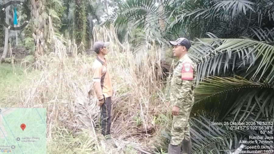 Babinsa Koramil 03/Tempuling Intensifkan Pengawasan Rawan Karhutla di Inhil