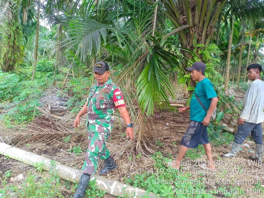 Babinsa Koramil 03/Tempuling Perketat Patroli, Petani Diingatkan Tak Bakar Lahan