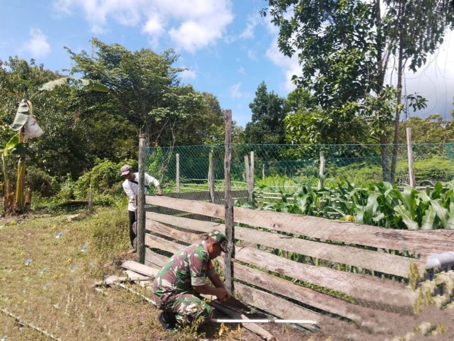 Babinsa Dabo Turun Tangan Perbaiki Pagar Kebun Warga