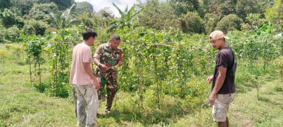 Babinsa Koramil 04/Dabo, Lakukan Anjangsana ke Kebun Warga di Kelurahan Raya