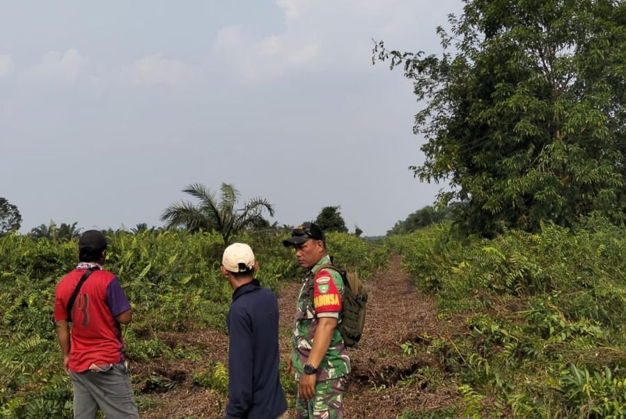 Babinsa Koramil 04/Kubu dan Warga Sisir Daerah Rawan Karhutla, Hasilnya Nihil