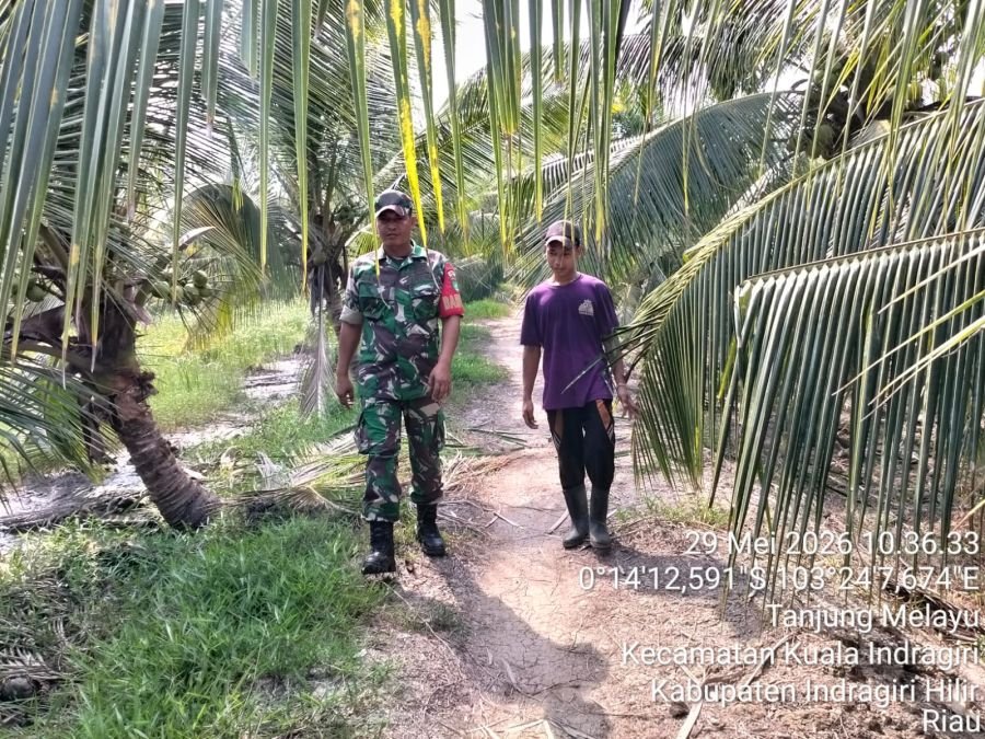 Babinsa Koramil 04/Kuindra Sisir Tapal Batas, Pastikan Wilayah Binaan Bebas Karhutla