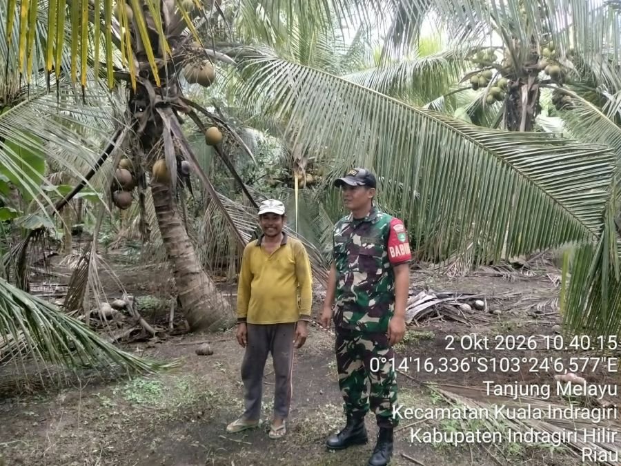 Babinsa Koramil 04/Kuindra Sosialisasi dan Patroli Tapal Batas, Karhutla Nihil di Tanjung Melayu