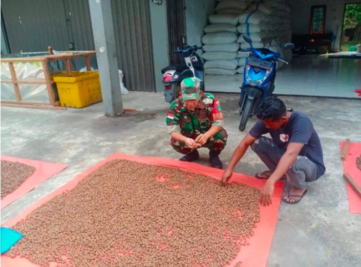 Babinsa Koramil 04/Letung Komsos dengan Penampung Buah Kepayang di Jemaja