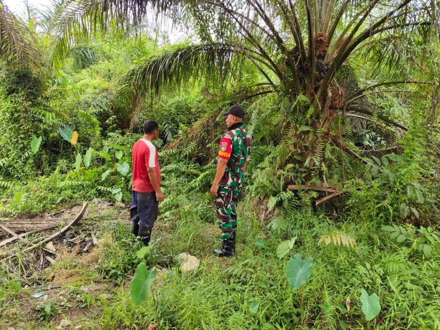 Babinsa Koramil 04/LPH Intensifkan Patroli Karhutla di Rumbai Timur