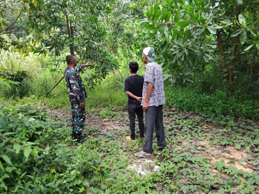 Babinsa Koramil 04/Lph Sisir Sejumlah Titik Rawan Karhutla di Rumbai Timur, Hasilnya Nihil Titik Api