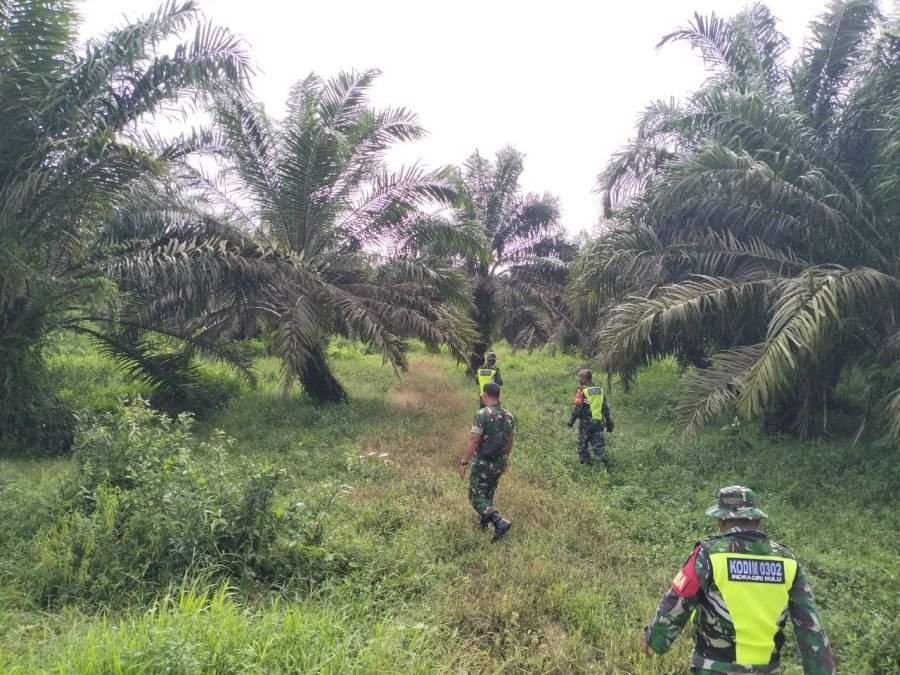 Babinsa Koramil 04/Pasir Penyu Lakukan Patroli dan Sosialisasi Karhutla di Desa Petalongan