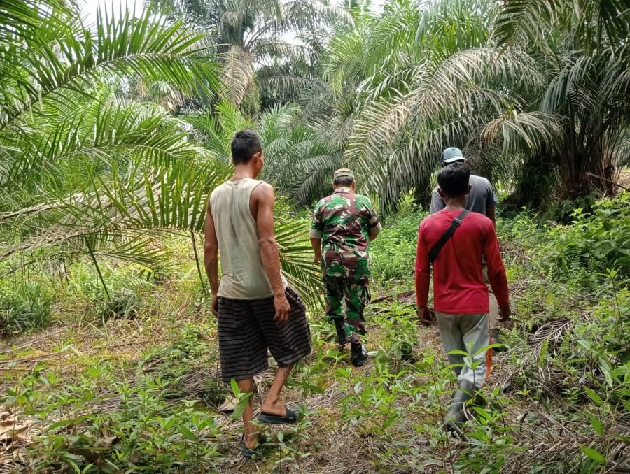 Babinsa Koramil 04/Perawang Bersama Warga Pastikan Sengkemang Aman dari Karhutla