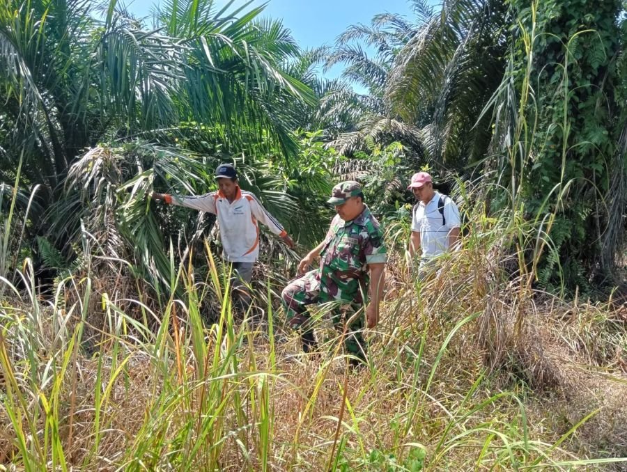 Babinsa Koramil 04/Perawang Pelda Syafri Bergerak Cepat Antisipasi Karhutla di Kp Buatan II