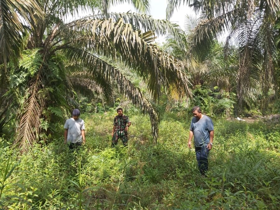 Babinsa Koramil 04/Perawang, Serda Deddy Heriyanto Sisir Titik Rawan Karhutla di Kampung Tualang