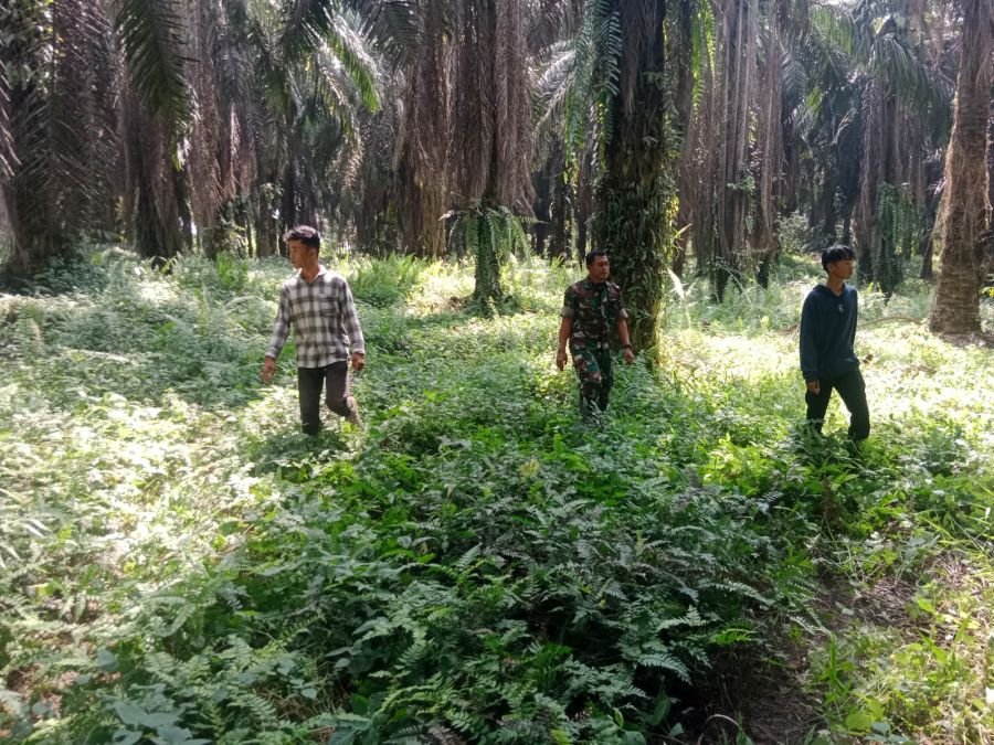 Babinsa Koramil 04/Perawang, Serda Deddy Ajak Warga Waspadai Karhutla