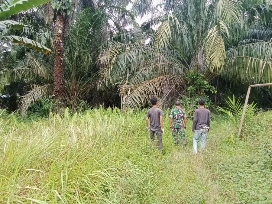 Babinsa Koramil 04/Perawang, Sertu Laila Syahdanur Pimpin Patroli Karhutla di Empang Pandan