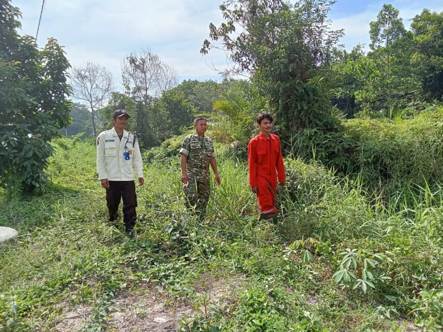 Babinsa Koramil 04/Perawang, Sertu Laila Syahdanur Sisir Titik Rawan Karhutla di Empang Pandan