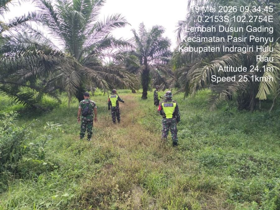Babinsa Koramil 04/PP Patroli dan Sosialisasi Cegah Karhutla di Desa Lembah Dusun Gading
