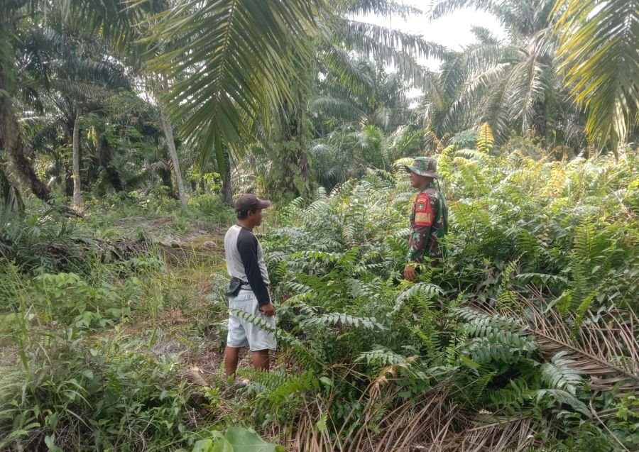 Babinsa Koramil 04/Rupat Gencarkan Patroli dan Sosialisasi di Desa Parit Kebumen