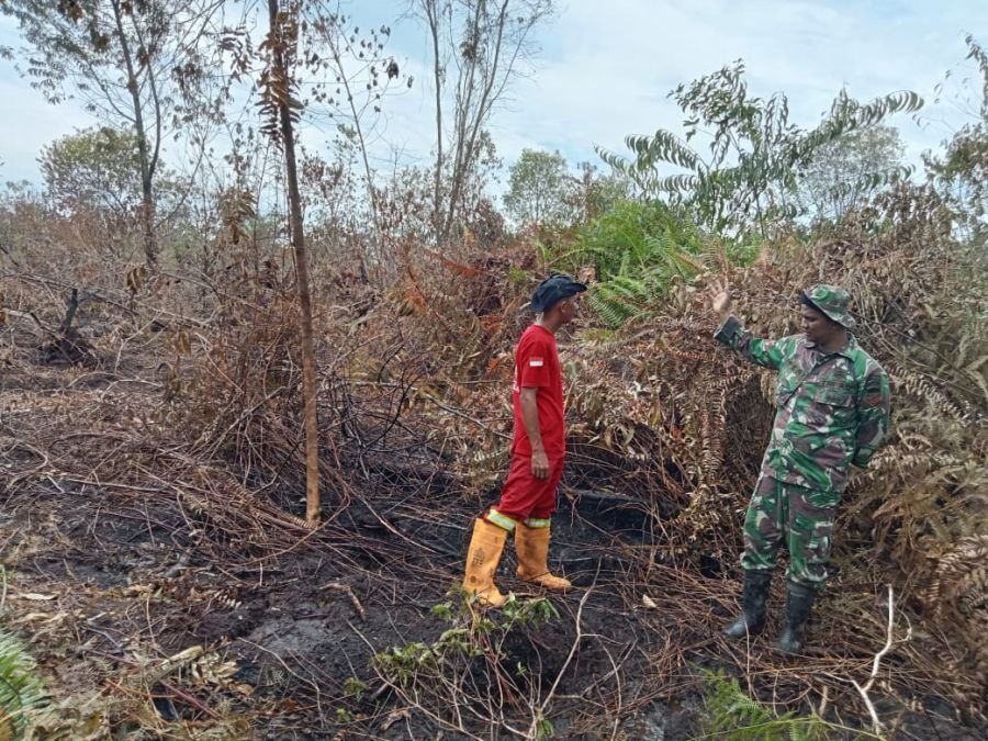 Babinsa Koramil 04/Rupat Intensifkan Patroli Karhutla Bersama Masyarakat di Desa Hutan Panjang
Rupat