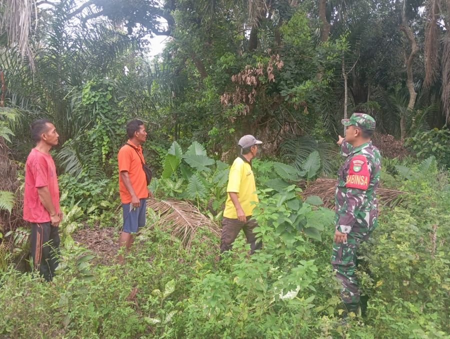 Babinsa Koramil 05/Bukit Batu Bersama Masyarakat Sisir Wilayah Rawan Karhutla di Desa Dompas