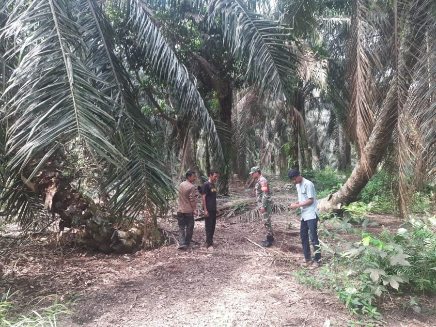 Babinsa Koramil 05/Bukit Batu Bersama Warga Patroli Cegah Karhutla di Sepotong