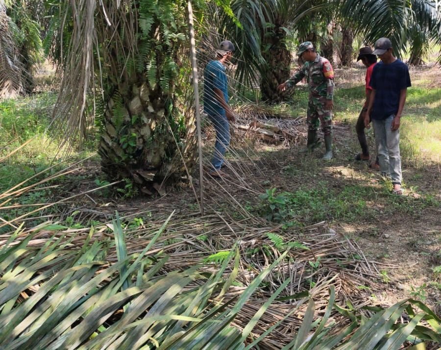 Babinsa Koramil 05/Bukit Batu Gandeng Warga Jaga Desa Sepotong Tetap Bebas Karhutla