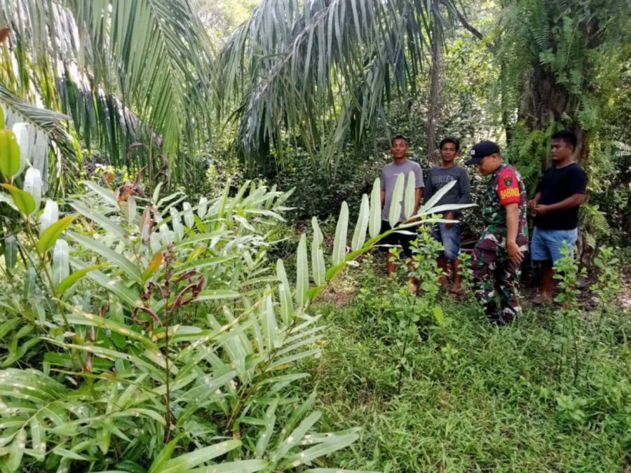Babinsa Koramil 05/Bukit Batu Gencarkan Sosialisasi dan Patroli Karhutla di Desa Pangkalan Jambi