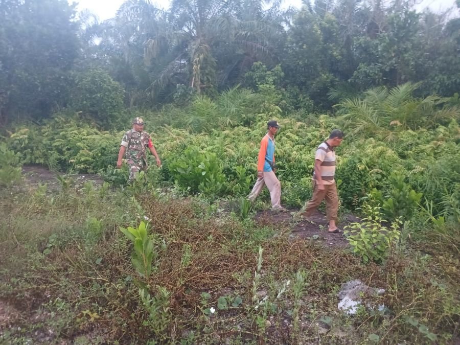 Babinsa Koramil 05/Bukit Batu Intensifkan Patroli Karhutla di Desa Lubuk Gaung