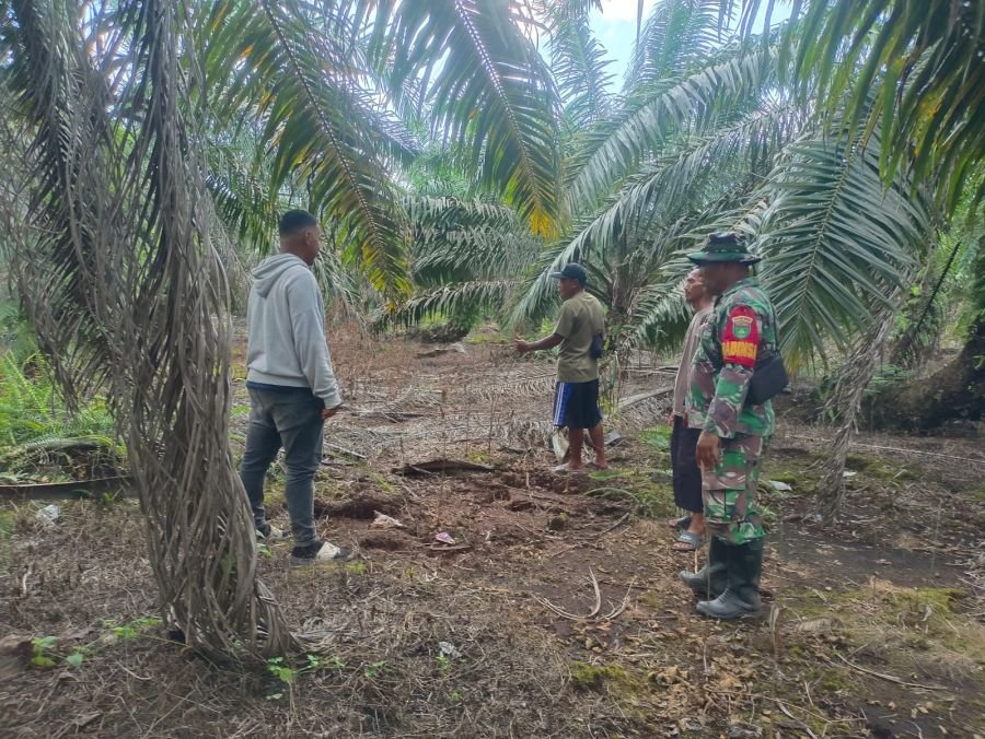 Babinsa Koramil 05/Bukit Batu Intensifkan Patroli Karhutla di Desa Sungai Linau