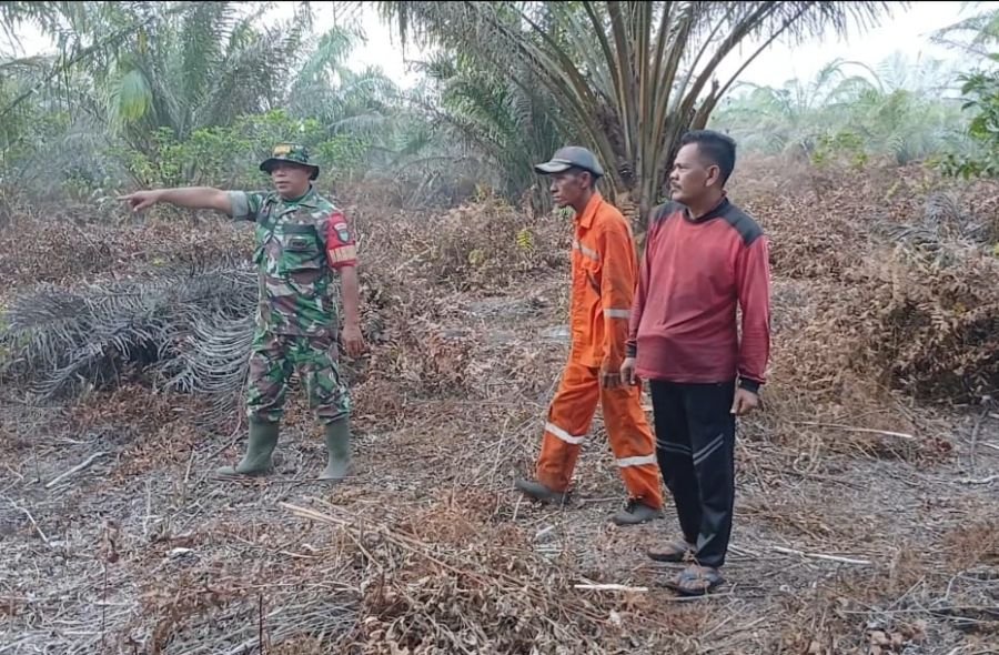 Babinsa Koramil 05/Bukit Batu Patroli Karhutla Bersama Warga, Pastikan Wilayah Tetap Aman