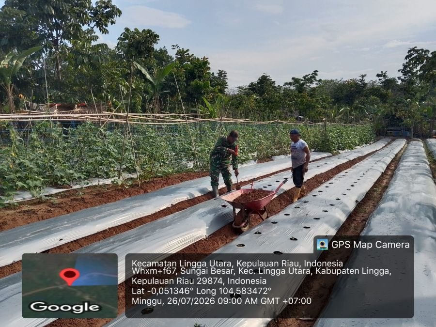 Babinsa Koramil 05/Daik Bantu Warga Siapkan Lahan Tanam Mentimun, Wujud Dukungan Ketahanan Pangan.
