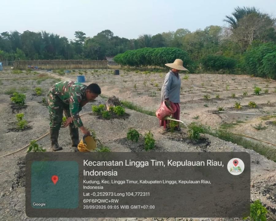 Babinsa Koramil 05/Daik Bantu Warga Rawat Kebun Cabai di Lingga Timur