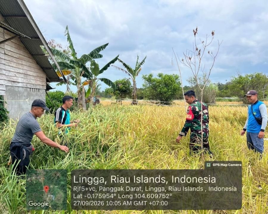 Babinsa Koramil 05/Daik Dampingi Petani, Monitoring Lahan Sawah di Panggak Darat