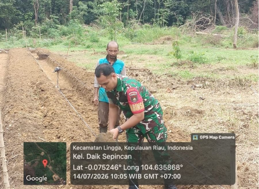 Babinsa Koramil 05/Daik Sambangi Kebun Warga, Dukung Budidaya Mentimun di Daik