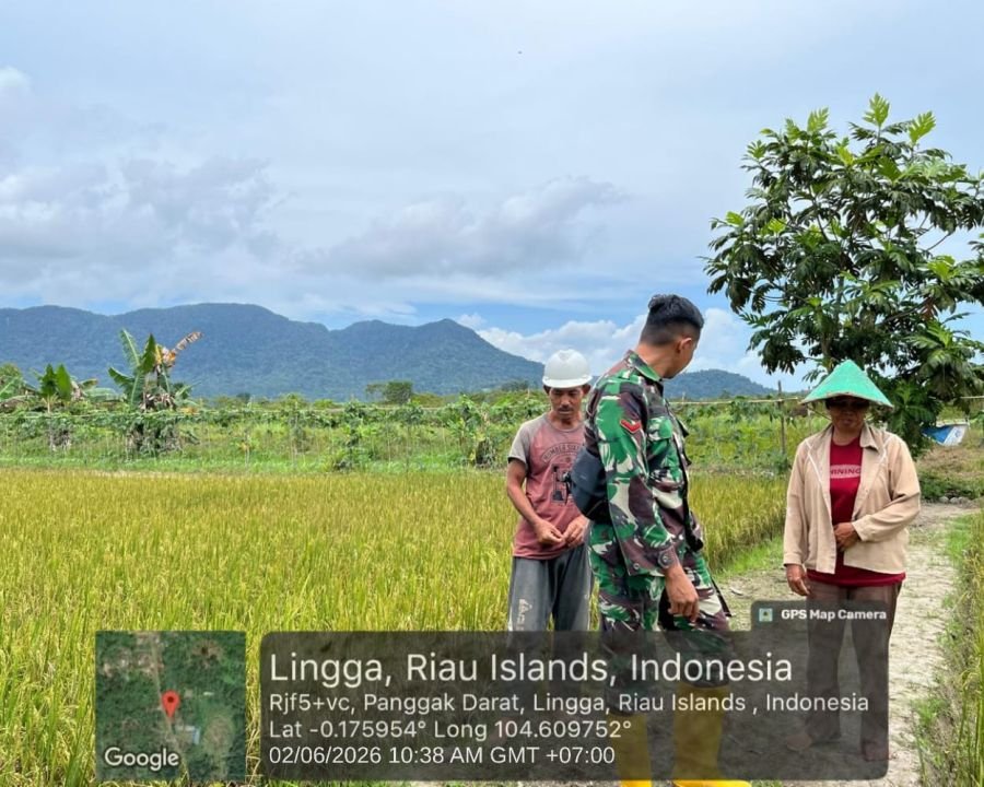 Babinsa Koramil 05/Daik Sambangi Petani Jelang Panen Padi di Desa Panggak Darat