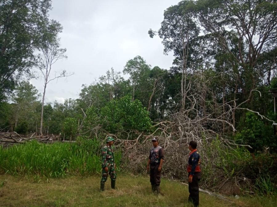 Babinsa Koramil 05/GAS Laksanakan Patroli Tapal Batas, Situasi Wilayah Aman dan Kondusif