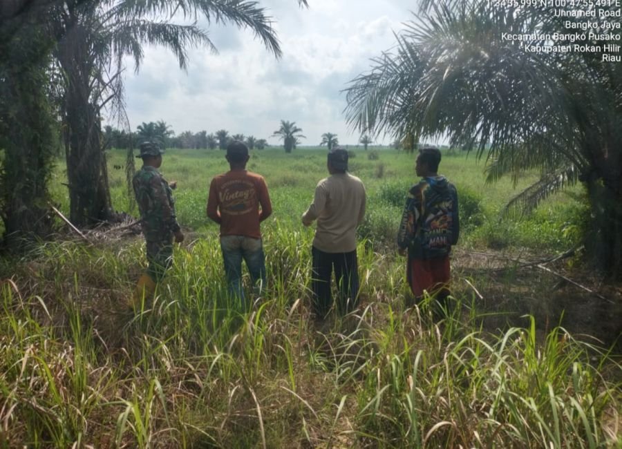 BABINSA KORAMIL 05/RM DAN MPA GENCARKAN PATROLI RUTIN CEGAH KARHUTLA DI BANGKO PUSAKO ROKAN HILIR