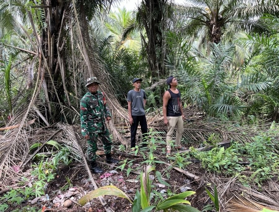 Babinsa Koramil 06/ KTM Pratu Abdul Fikri  Melaksanakan kegiatan Patroli Tapal Batas