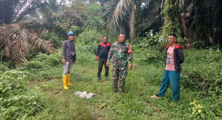 Babinsa Koramil 06/Cerenti Bersama Warga Laksanakan Patroli Karhutla di Desa Pulau Busuk Jaya
