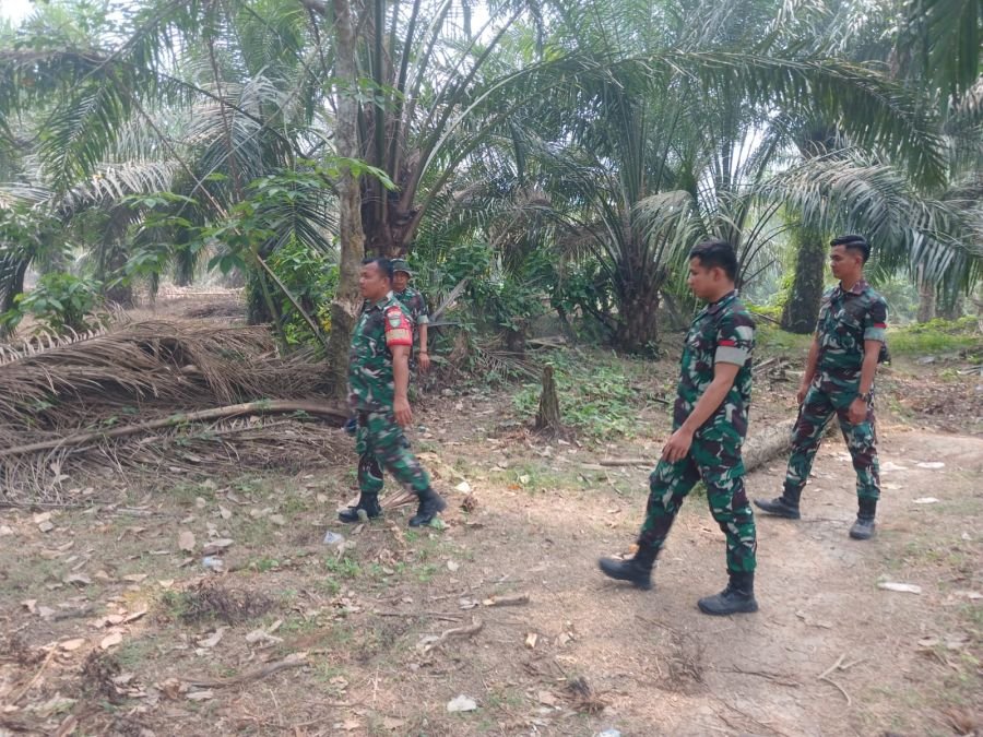 Babinsa Koramil 06/Cerenti Gencarkan Patroli Karhutla di Desa Tanjung Medan