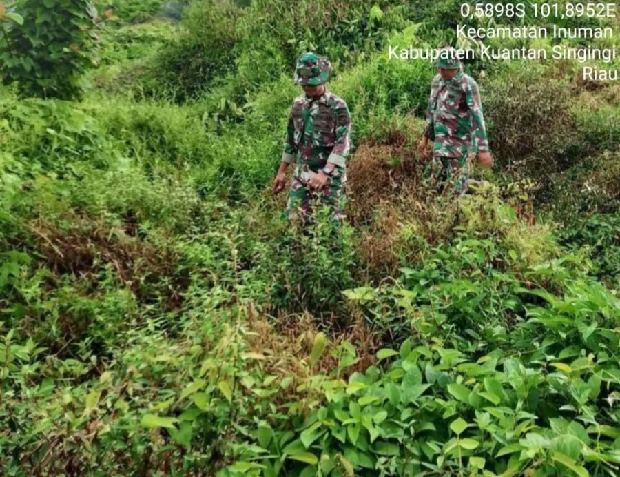 Babinsa Koramil 06/Cerenti Intensifkan Patroli Karhutla di Desa Pulau Panjang Hulu