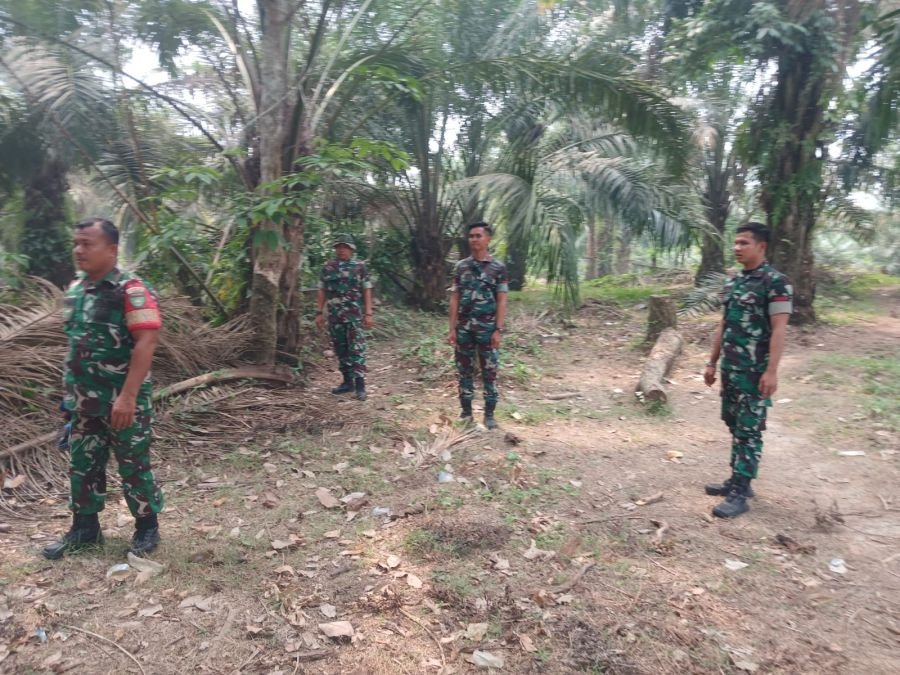 Babinsa Koramil 06/Cerenti Kompak Laksanakan Patroli Karhutla di Wilayah Rawan Kebakaran