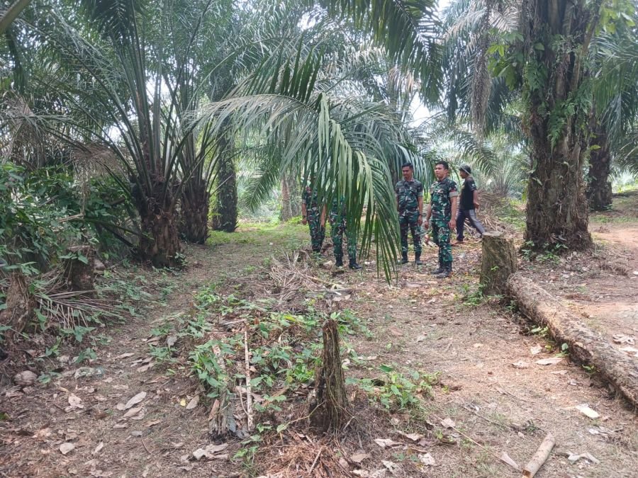 Babinsa Koramil 06/Cerenti Patroli Karhutla di Tengah Kabut Asap