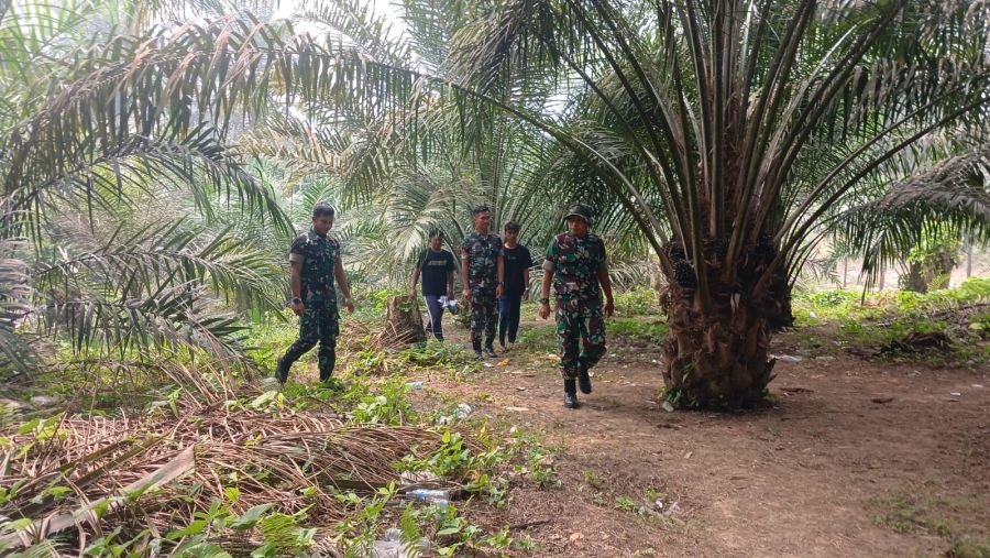 Babinsa Cerenti Patroli Cegah Karhutla, Warga Pulau Panjang Diimbau Waspada