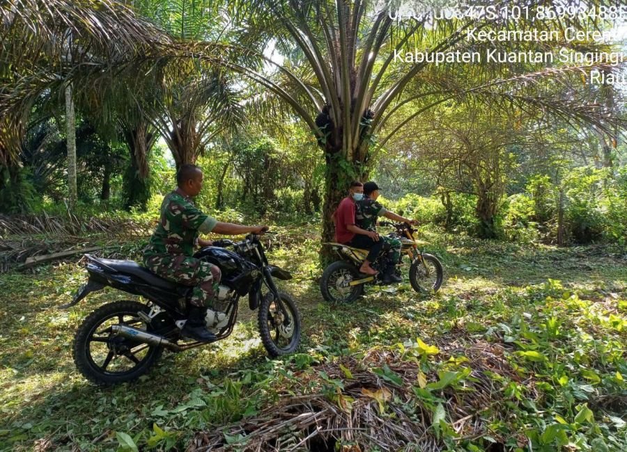 Babinsa Koramil 06/Cerenti Tetap Patroli Karhutla di Tengah Terik Matahari