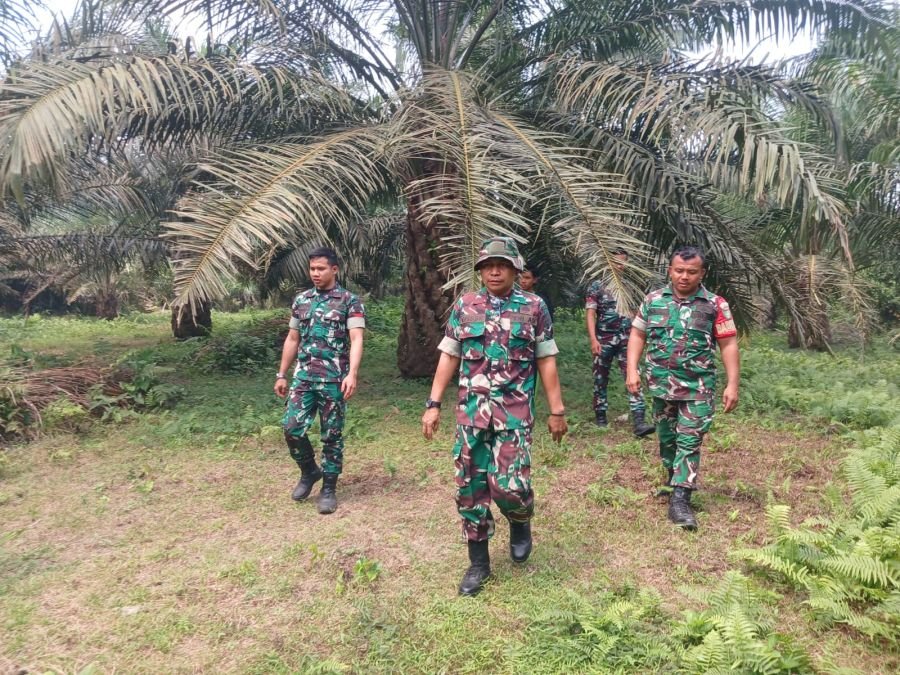 Babinsa Koramil 06/Cerenti Tingkatkan Siaga Karhutla Melalui Patroli di Perkebunan Warga