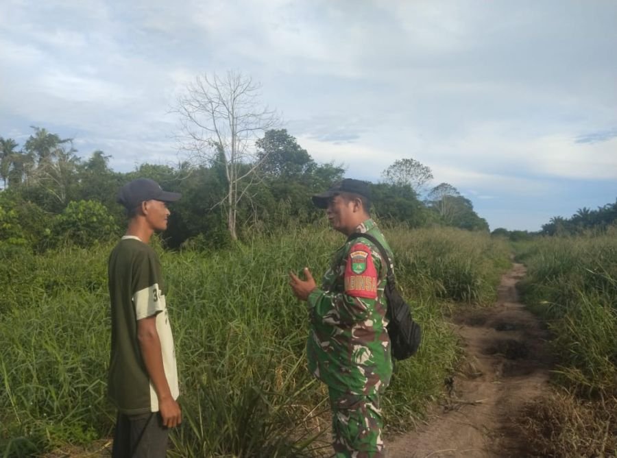 Babinsa Koramil 06/KTM, Kopda Ferry sinaga melaksanakan patroli Tapal Batas di Desa sumber sari jaya