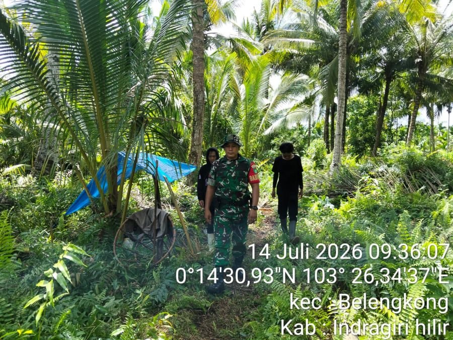 Babinsa Koramil 06/KTM KOPDA RAJA OLOAN SIHOTANG Melaksanakan kegiatan Patroli Tapal Batas